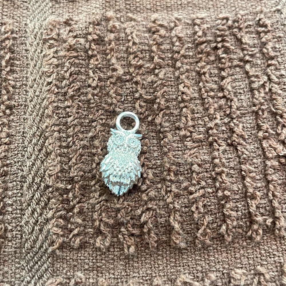 Origami Owl mini owl charm
